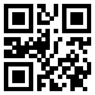 3912013649 QrCode associato