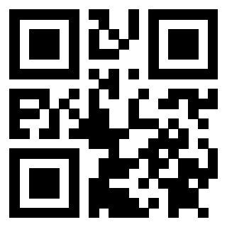 Il Qr Code di 3912013665