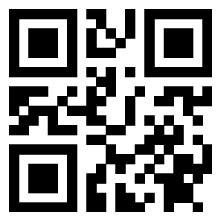 3912013684 Qr Code associato