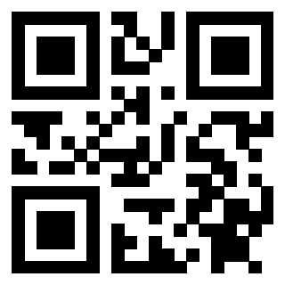 Il Qr Code di 3912023063