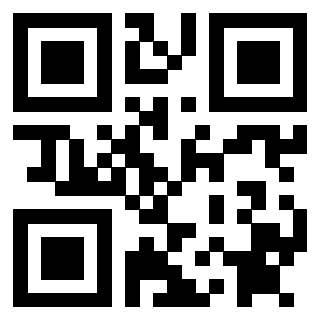 3912060606 - Immagine del QrCode