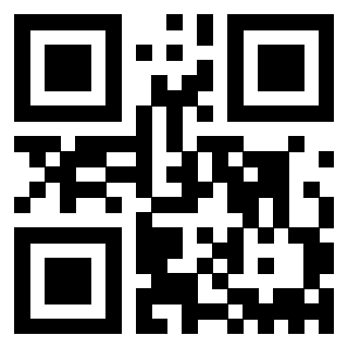 Il Qr Code di 3912060609