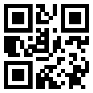 3912060738 Qr Code associato
