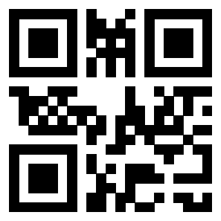 3912060828 Qr Code associato
