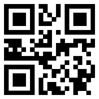 Il Qr Code di 3912060861