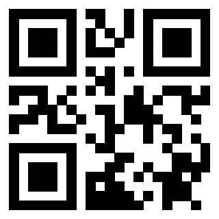 3912061102 - Immagine del Qr Code associato