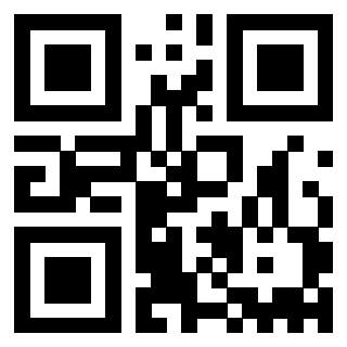 Il Qr Code di 3912061503