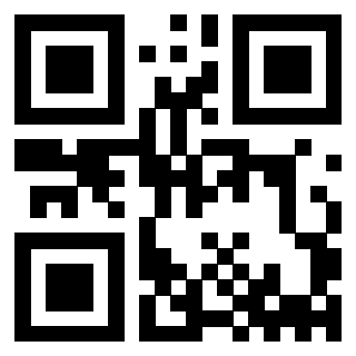Il Qr Code di 3912294878
