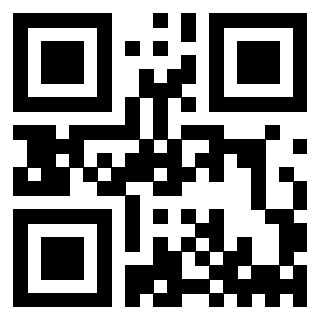 Il Qr Code di 3912294879