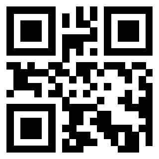 Il Qr Code di 3912294969