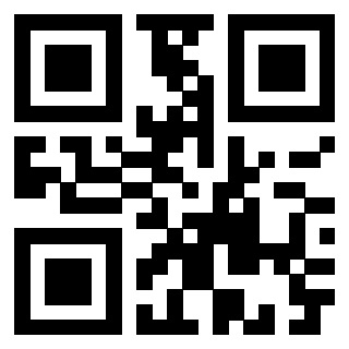 QrCode di 3912295074