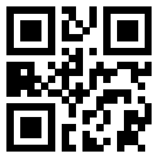 3912295299 QrCode associato