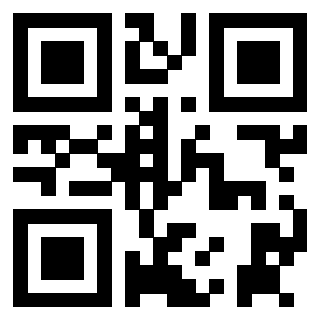 QrCode di 3912295382