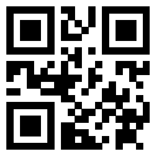 3912316961 - Immagine del QrCode associato