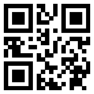 3912317066 Qr Code associato