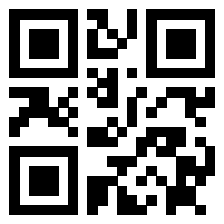 Il Qr Code di 3912482038