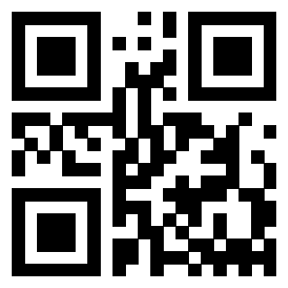 QrCode di 3912482213