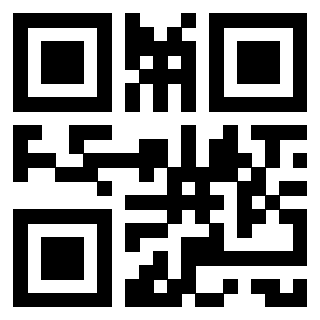 Il Qr Code di 3912482433