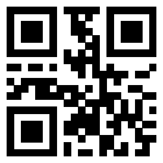 Il Qr Code di 3912482467