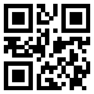 Il Qr Code di 3912484809