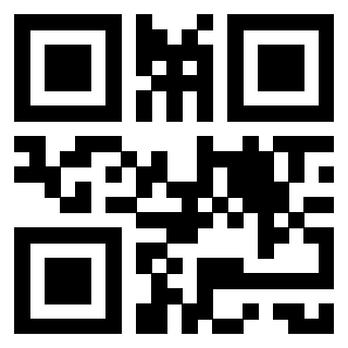 Il Qr Code di 3912484908