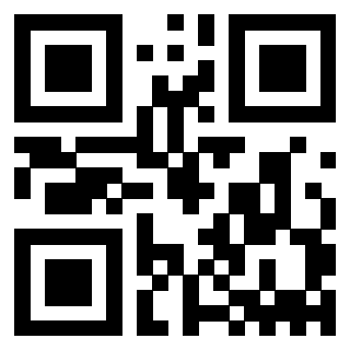 Il Qr Code di 3912484917