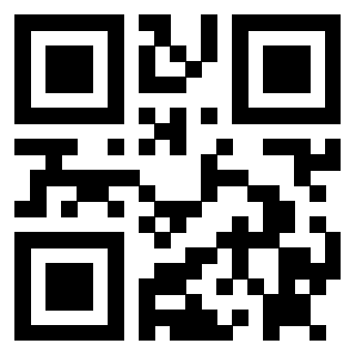 Il Qr Code di 3912485335