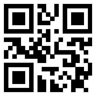 3912485666 Qr Code associato