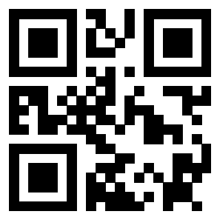 Il Qr Code di 3912496382