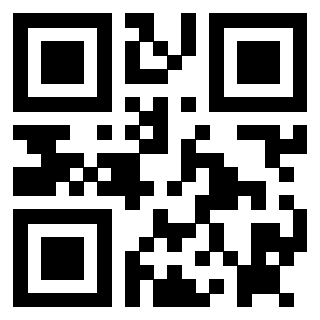 Il Qr Code di 3912496389