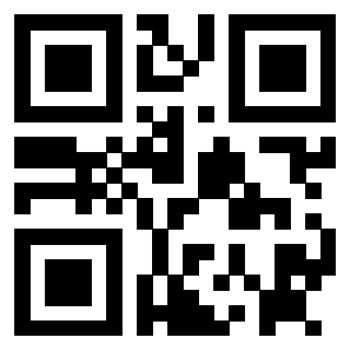 Il Qr Code di 3912496583