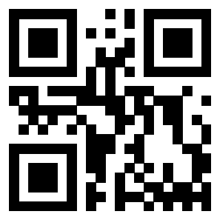 Il Qr Code di 3912496606