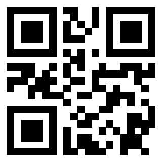 Il Qr Code di 3912496894