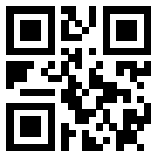Il Qr Code di 3912496989