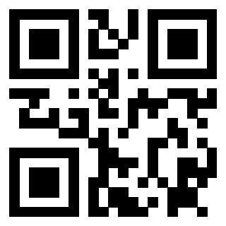 Il Qr Code di 3912497287