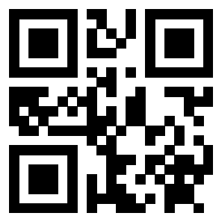 3912500453 QrCode associato
