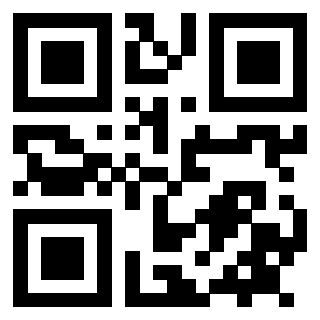 Il Qr Code di 3912620885