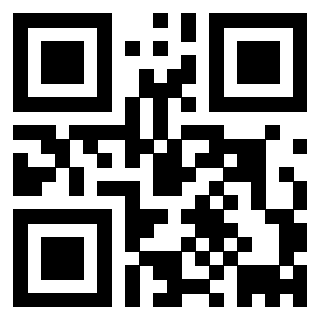 Il Qr Code di 3912633823