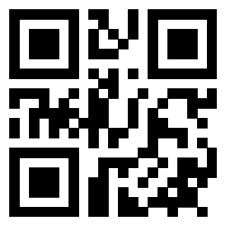 Il Qr Code di 3912634074