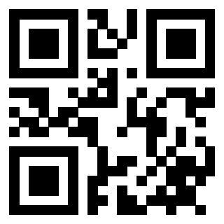 Il Qr Code di 3912703056