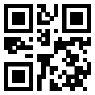 3912883822 QrCode associato