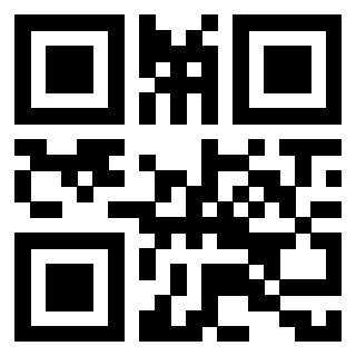 Il Qr Code di 3912905056