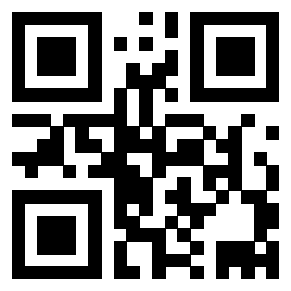 Il Qr Code di 3912905107