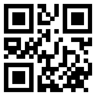 QrCode di 3912905304