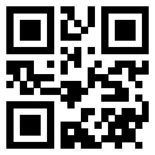 Il Qr Code di 3912949603