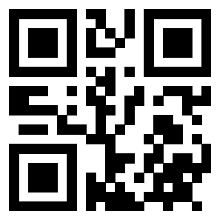 3912958153 Qr Code associato