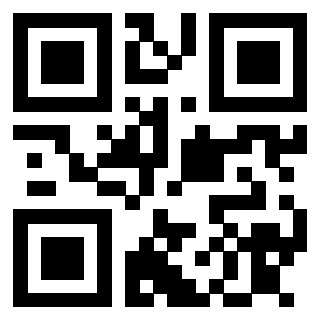 Il Qr Code di 3913040846