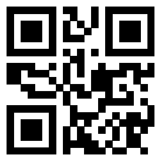 3913040858 QrCode associato