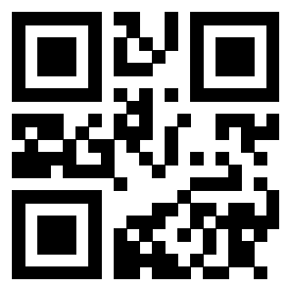 3913040911 - Immagine del Qr Code associato