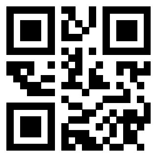 Il Qr Code di 3913040970